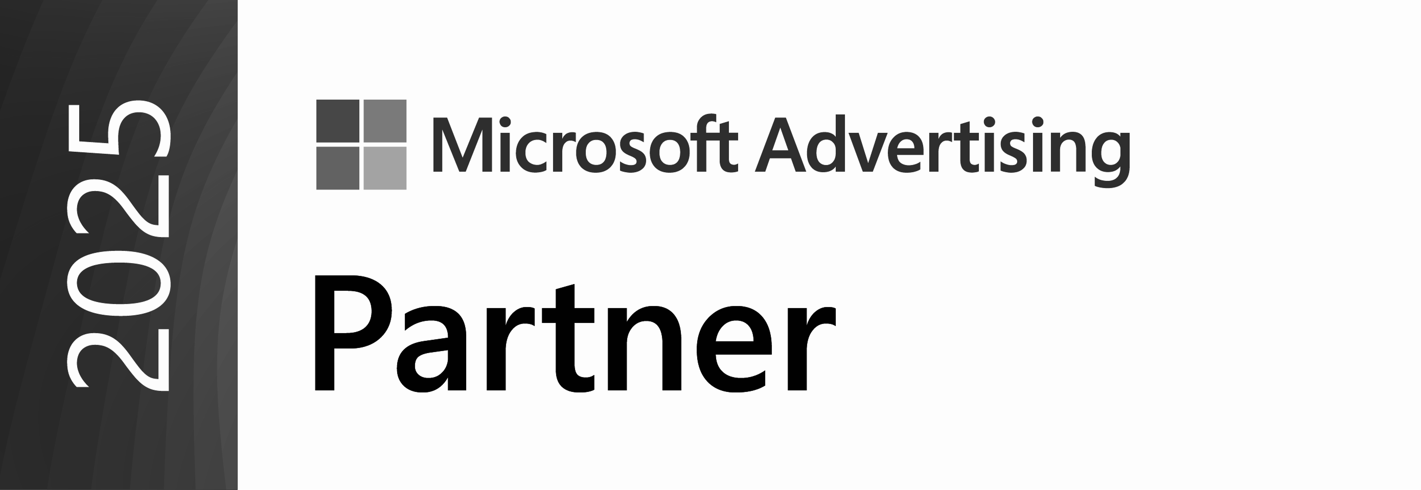 Microsoft Partner
